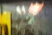 17 UHo Ullrike Hortig Tanz der Schatten
